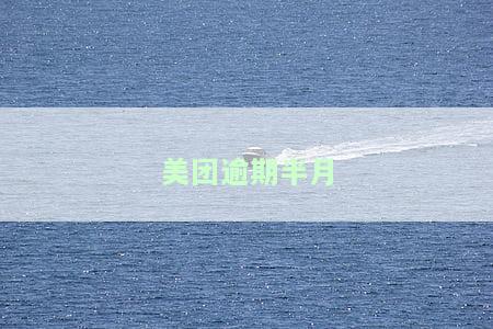 美团逾期半月发信息说委派当地催收，美团逾期半月，收到催收信息称将委派当地催收团队