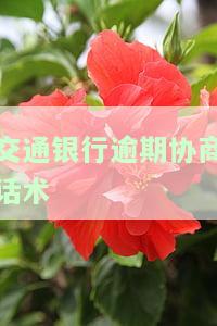 交通银行逾期协商话术