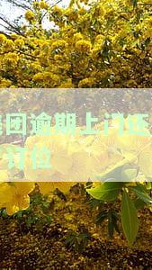 美团逾期上门还发了订位-美团逾期上门还发了订位短信