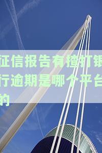 银行打出征信报告怎么看逾期，如何查看银行出具的征信报告中的逾期信息？