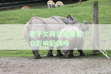 妻子欠网贷会影响孩子吗，妻子网贷未还，是否会影响孩子的未来？