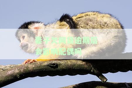 妻子欠网贷会影响老公购房贷款吗，妻子网贷未还清，是否影响丈夫的购房贷款申请？