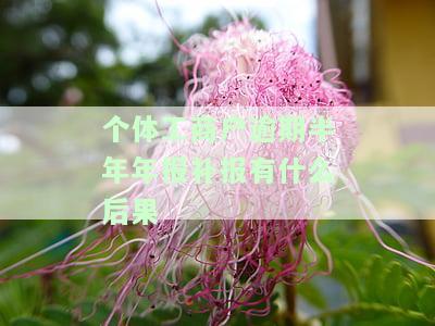 个体工商户年报逾期如何补报，个体工商户年报逾期：如何进行补报？