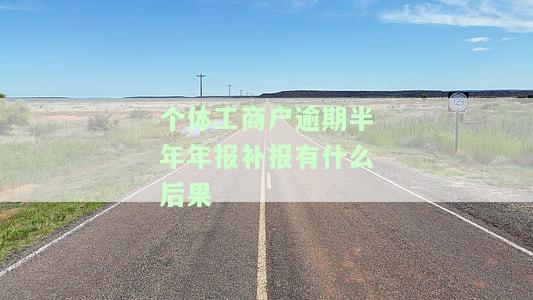 个体工商户年报逾期补办需什么资料，个体工商户年报逾期补办所需材料全解析