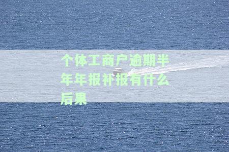 个体工商户逾期半年年报补报有什么后果-个体工商户逾期半年年报补报有什么后果吗