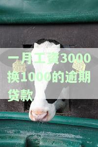 工资一个月3000能贷款多少？影响因素有哪些？