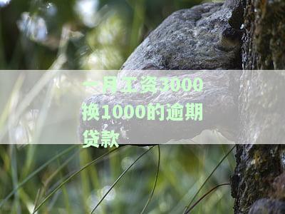 一月工资3000换1000的逾期贷款-工资3000一个月要还1万