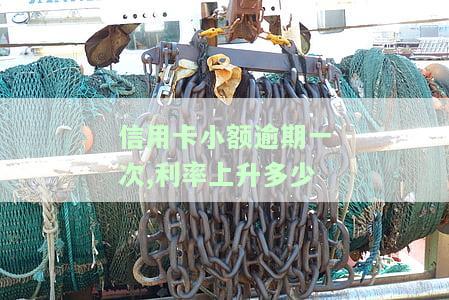 信用卡逾期利率是多少？最高可达多少？能否全免？违约金与利息能否一起免除？逾期利息超过本金如何处理？计算方法是什么？