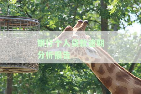 银行个人贷款逾期分析报告