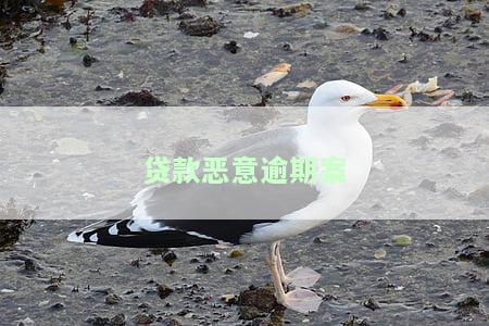 贷款恶意逾期会刑事诉讼吗，贷款恶意逾期是否可能面临刑事诉讼？