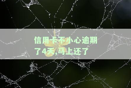 信用卡逾期4天，马上还款会影响征信吗？