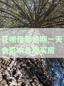 花呗借呗逾期三天内已还清,会影响购房贷款征信吗，花呗、借呗逾期三天内还款，是否会影响购房贷款的征信记录？