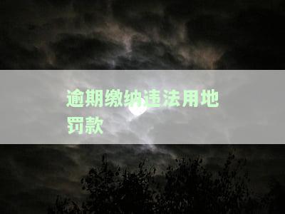 逾期缴纳违法用地罚款