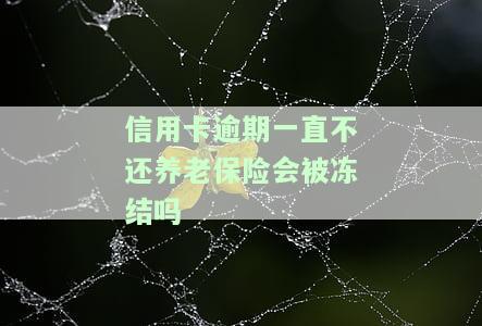 信用卡逾期一直不还养老保险会被冻结吗安全吗，信用卡逾期未还款，养老保险账户会受到影响吗？安全风险解析