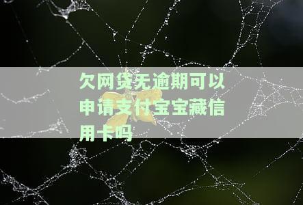 有网贷无逾期可以办信用卡吗，网贷未逾期，能否申请信用卡？