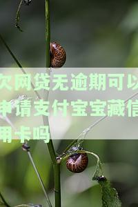 有多条网贷记录但未逾期，能否申请信用卡或银行贷款？安全吗？
