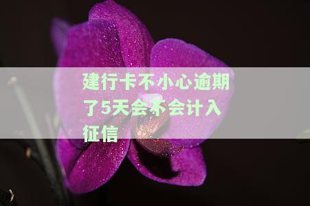 建行卡不小心逾期了5天会否影响征信？