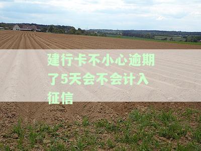 建行卡不小心逾期了5天会不会计入征信