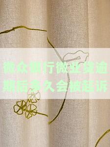 微众银行微业贷逾期欠款是起诉公司还是法人的，微众银行微业贷逾期欠款：应起诉公司还是法人？