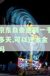 逾期一千多天，能还本金吗？安全可靠吗？可能会被起诉吗？