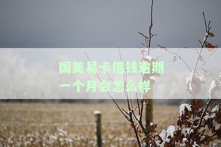 国美易卡逾期还能借吗？逾期后的影响及解决办法
