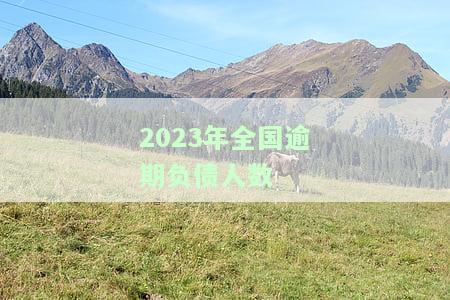 2023年全国逾期负债人数