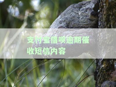 支付宝借呗逾期发短信，重要提醒：支付宝借呗逾期将发送短信通知，请及时还款