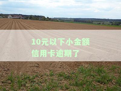 10元以下小金额信用卡逾期后的影响及处罚，是否会影响征信？