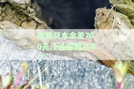 你我贷本金差700元没还逾期三年了会怎么样，逾期三年未还，你我贷本金差700元可能带来的后果
