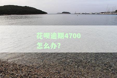 花呗欠款四千多逾期169天,会找家里去吗，花呗欠款4000多元逾期169天，是否会被找家里人？