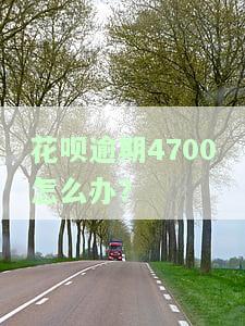 花呗逾期4700怎么办？