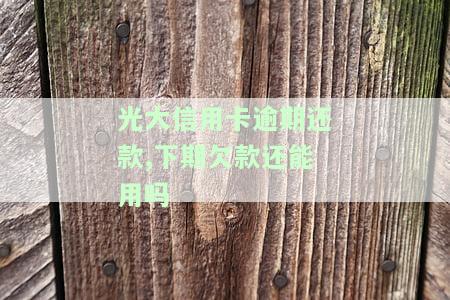 光大信用卡逾期还款,下期欠款还能用吗，光大信用卡逾期还款，是否影响下期欠款使用？