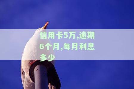 信用卡5万,逾期6个月,每月利息多少钱，信用卡欠款5万，逾期6个月，每月需要支付多少利息？