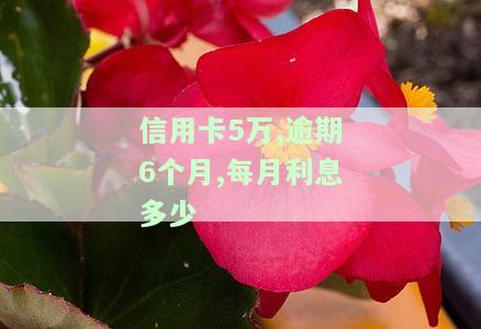 信用卡5万逾期一年滚多少，信用卡逾期一年，5万元将滚出多少利息？