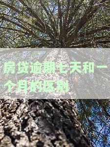 房贷逾期7天严重吗？会有什么后果？该如何处理？