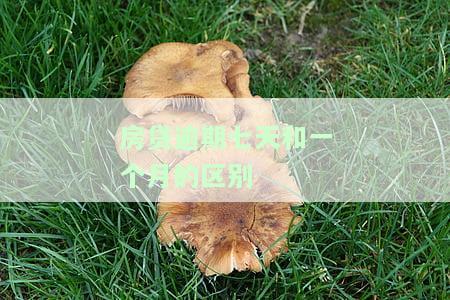 房贷逾期七天会怎么样，房贷逾期7天：可能产生的后果和应对策略
