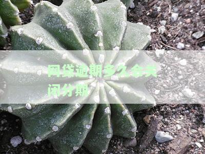 网贷逾期多久停止计息？影响及解决方法全解析