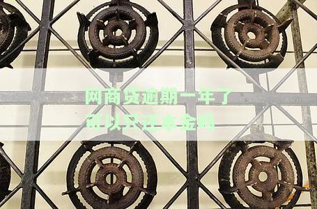网商贷逾期一年以上：后果、解决办法及可能的法律行动