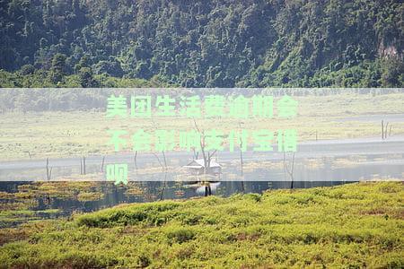 美团生活费逾期会不会影响支付宝借呗-美团生活费逾期会不会影响支付宝借呗额度