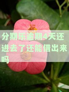 分期乐逾期了四天后面还款就不能再用了，逾期四天后，分期乐能否继续使用？
