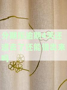 分期乐逾期4天还进去了还能借出来吗