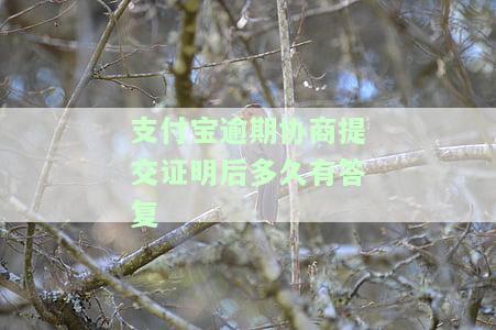 支付宝逾期协商提交失败，支付宝逾期协商申请遭拒，解决方案待寻找