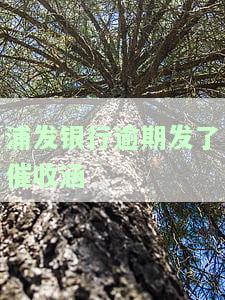 浦发银行催收部给我发了律师函：真相、处理方法与影响解析