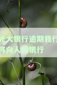 光大银行逾期十天：为何给我家人打电话？