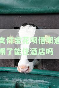 支付宝花呗借呗逾期了能住酒店吗