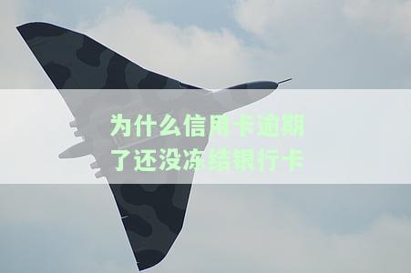 为什么信用卡逾期了还没冻结银行卡