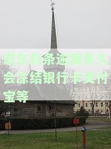 京东白条逾期多久会冻结银行卡支付宝等