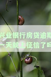 兴业银行房贷晚还一天的影响及解决办法
