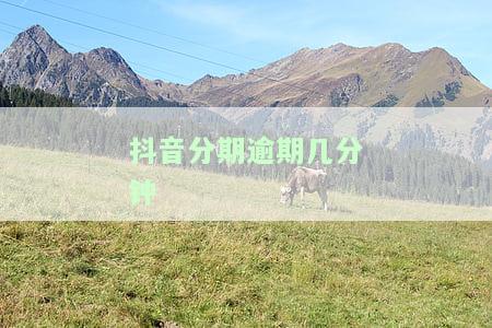 抖音分期逾期会怎么样？亲身经历告诉你逾期一天的后果及解决办法