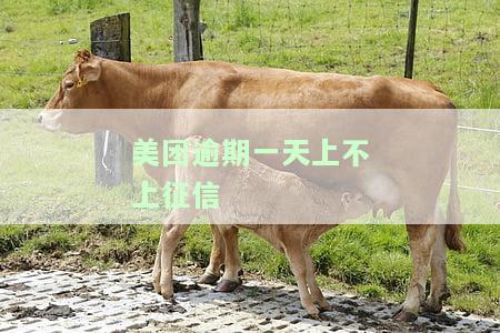 美团逾期一天上不上征信了，美团逾期一天会否影响个人征信记录？